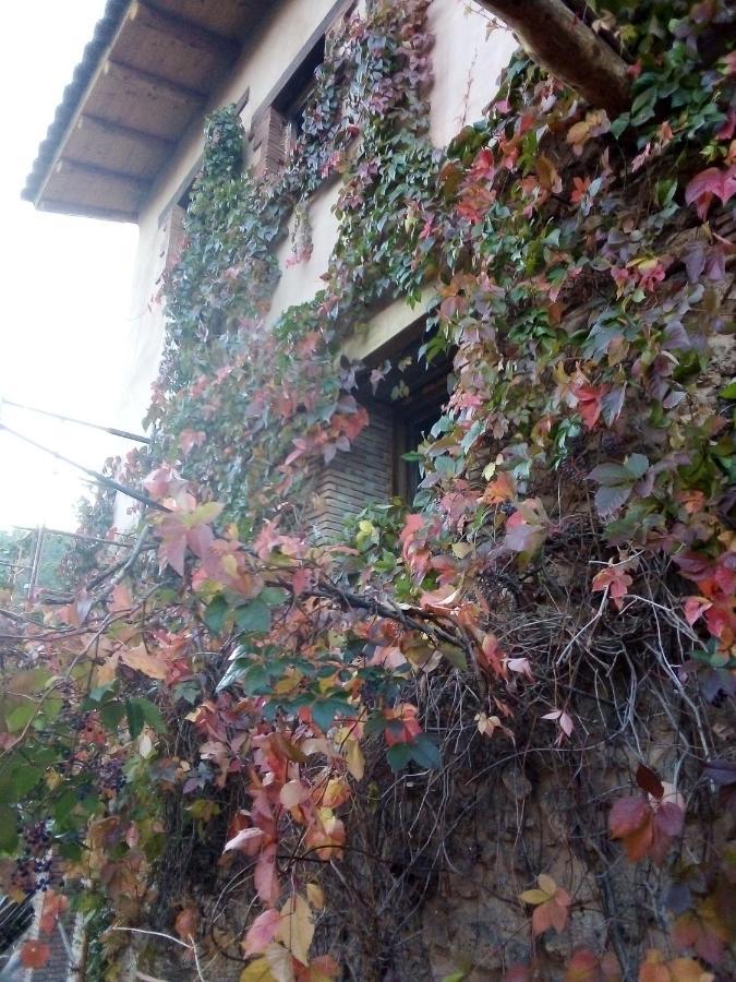 La Manduca Apartment Teruel Exterior photo